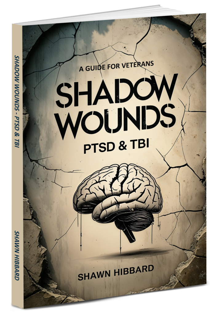 Shadow Wounds by Shawn Hibbard